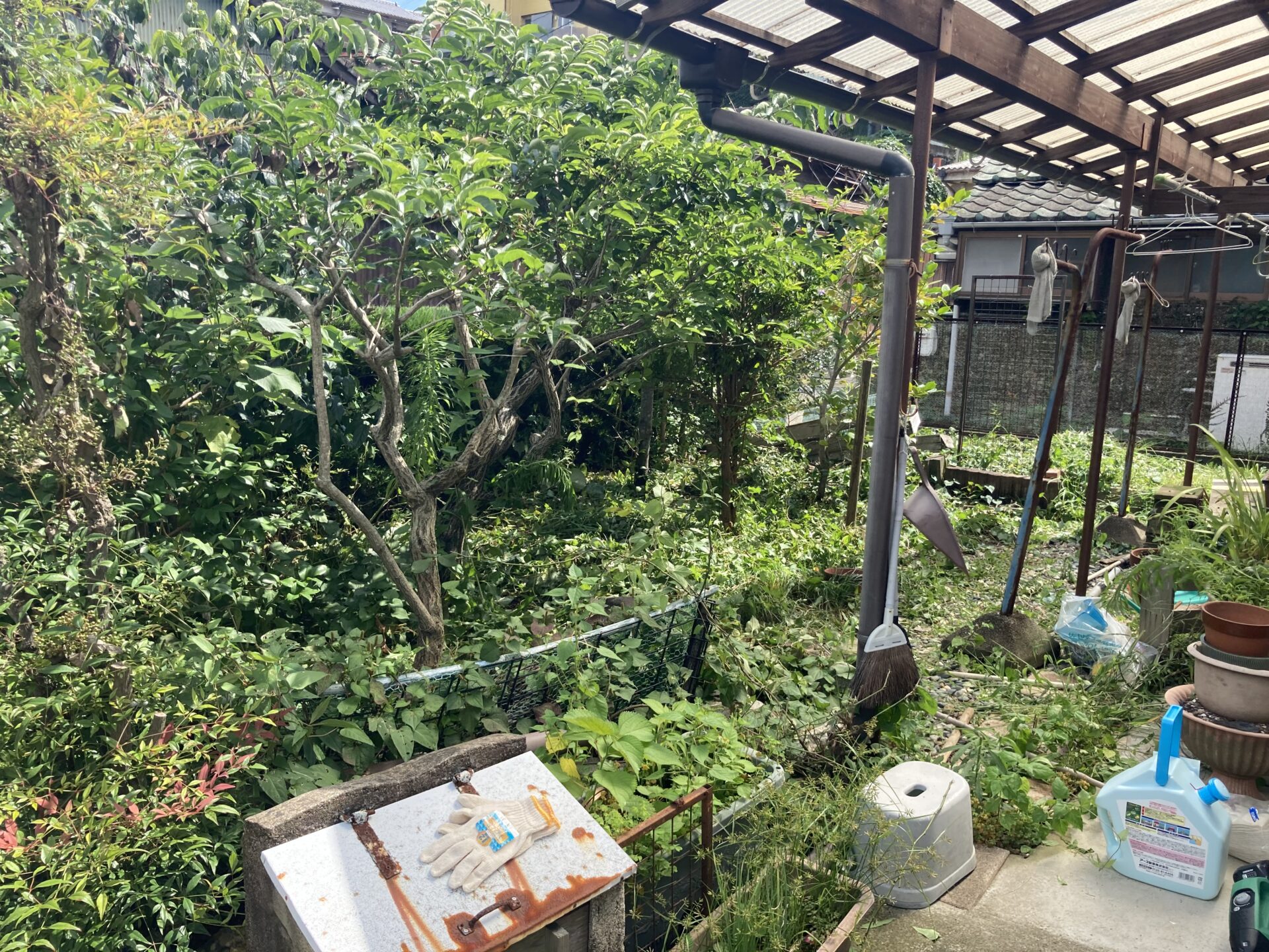 次に買った戸建て不動産