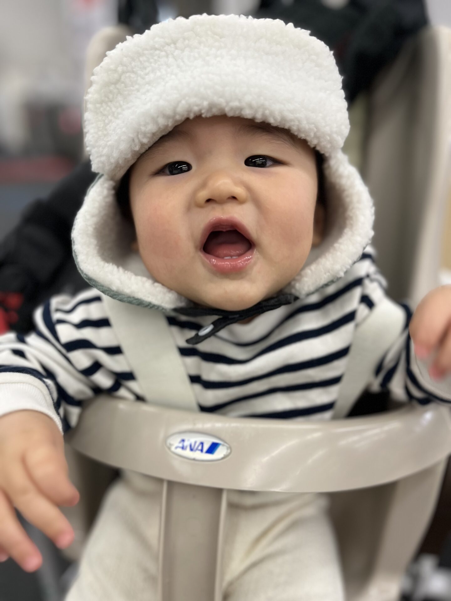 the旅好きファミリー